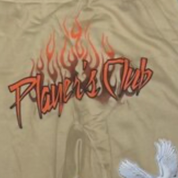 Brand New Never Worn Men's Tan Joggers W/ Design - Picture 4 of 4